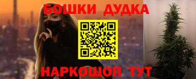 тгк Обь