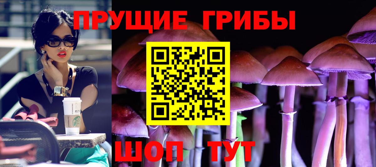 Пенза  наркошоп  Вход с VPN  Галлюциногенные грибы Psilocybine cubensis 