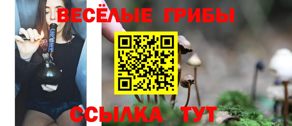 Галлюциногенные грибы прущие грибы Пенза